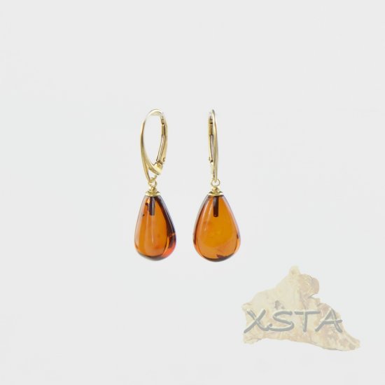 Amber earrings silver-gold metal