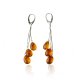 Baltic amber drop earrings