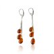 Baltic amber drop earrings cognac color