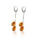  Baltic amber earrings