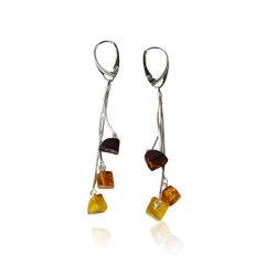 Baltic amber multicolor earrings Baltic amber multicolor earrings
