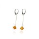 Wholesale cognac amber earrings