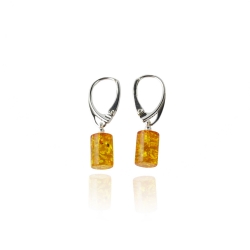 Cognac cylinder shape earrings Cognac cylinder shape earrings