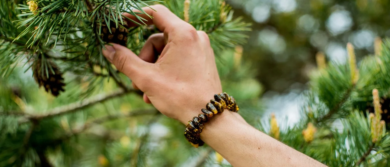 amber bracelet in nature