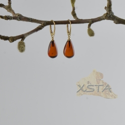 Amber earrings silver-gold metal