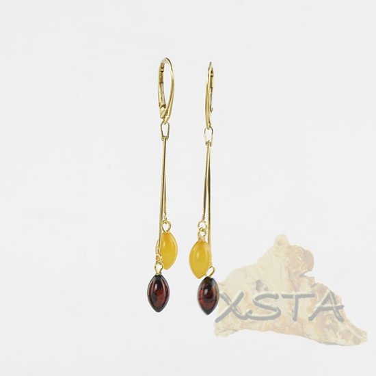 Multi color amber earrings with silver